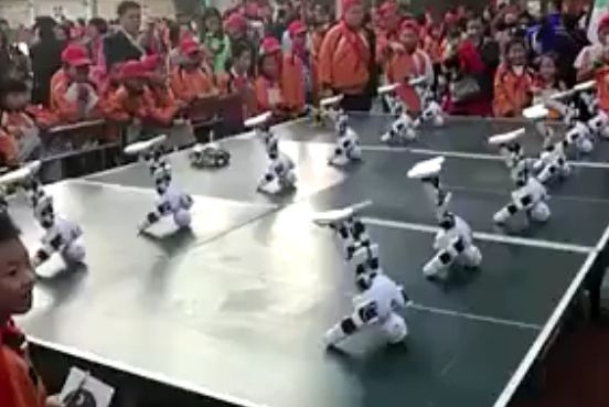 Alpha 集体表演